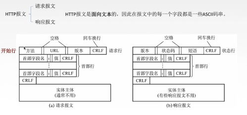 計(jì)算機(jī)網(wǎng)絡(luò)基礎(chǔ)知識(shí)之應(yīng)用層 網(wǎng)絡(luò)開發(fā)與服務(wù)的基石